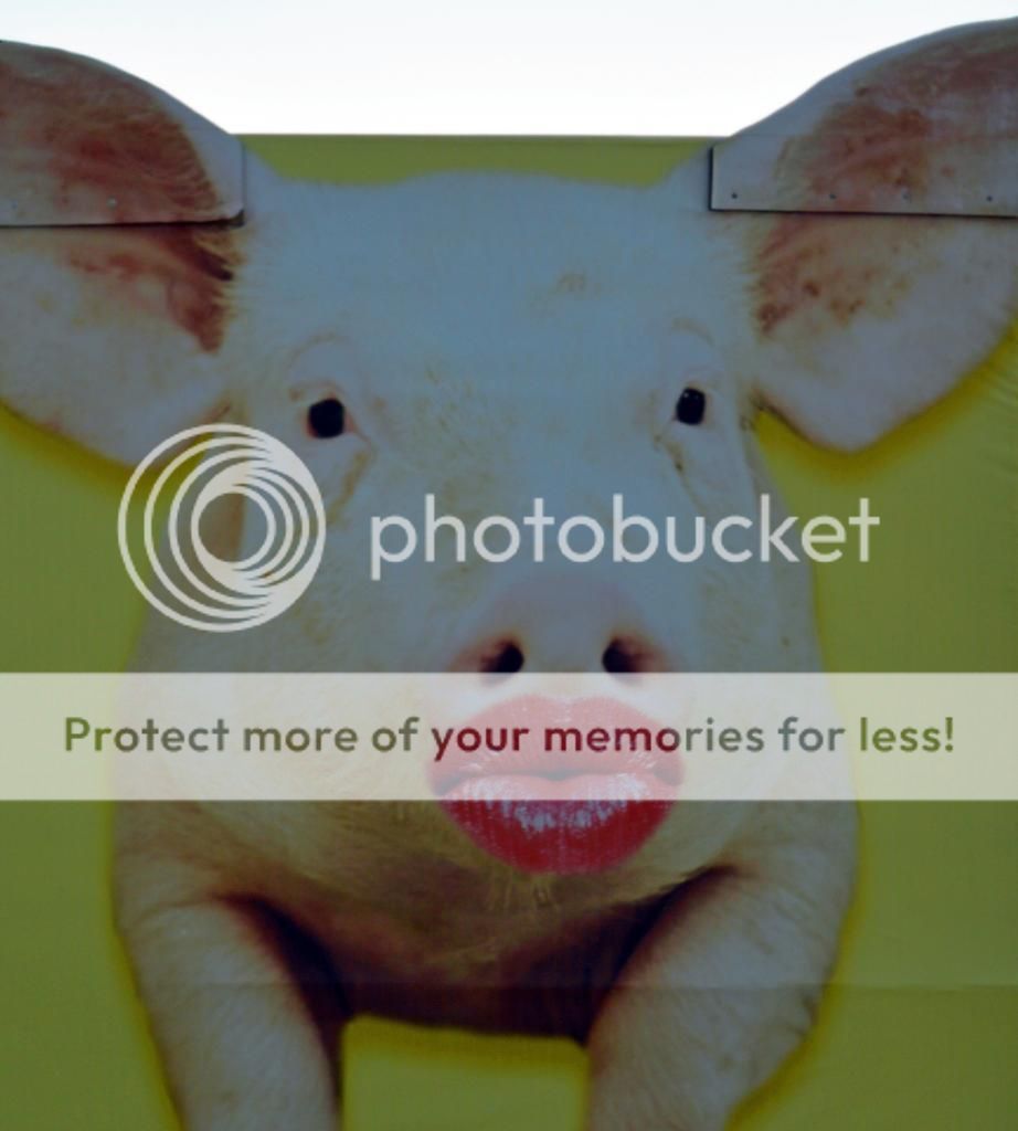 Lipstick. On a pig. Vintage Trailer Talk